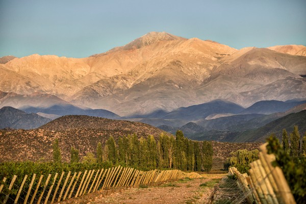 A Fat Bastard’s guide to Mendoza