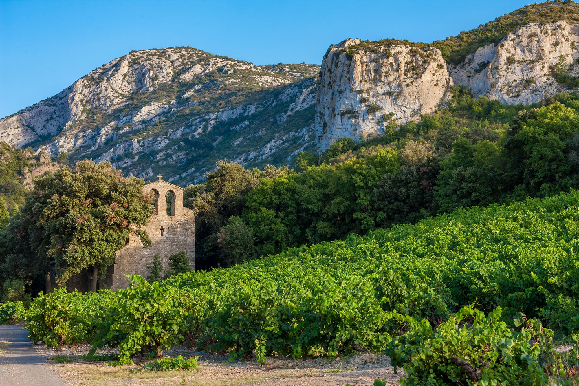 Languedoc, France