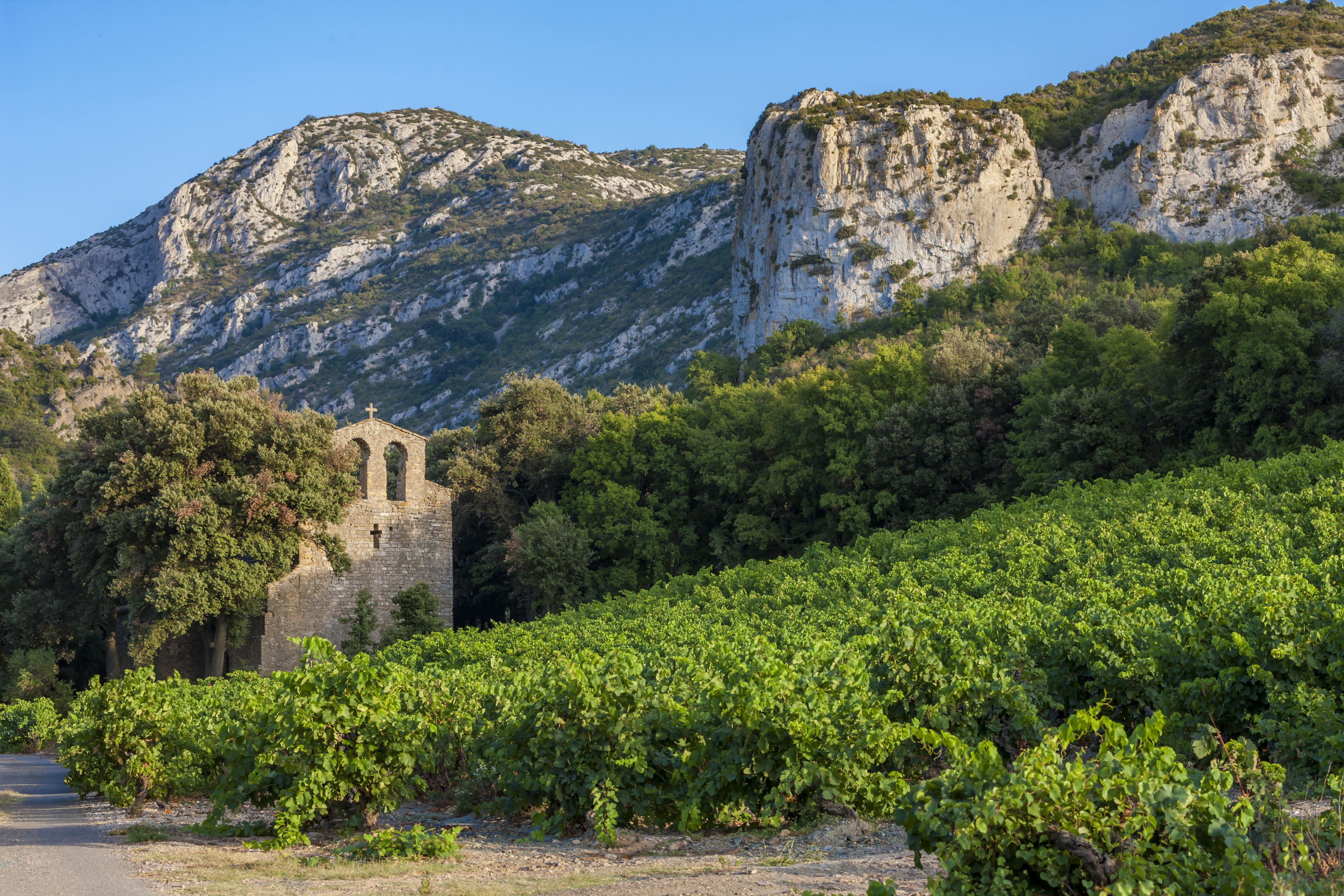 Languedoc, France
