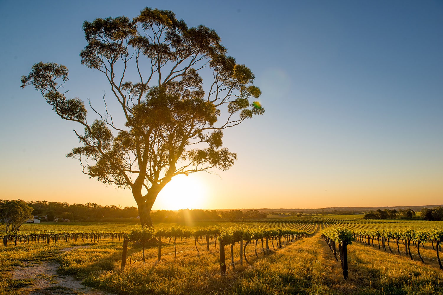 South Australia, Australia